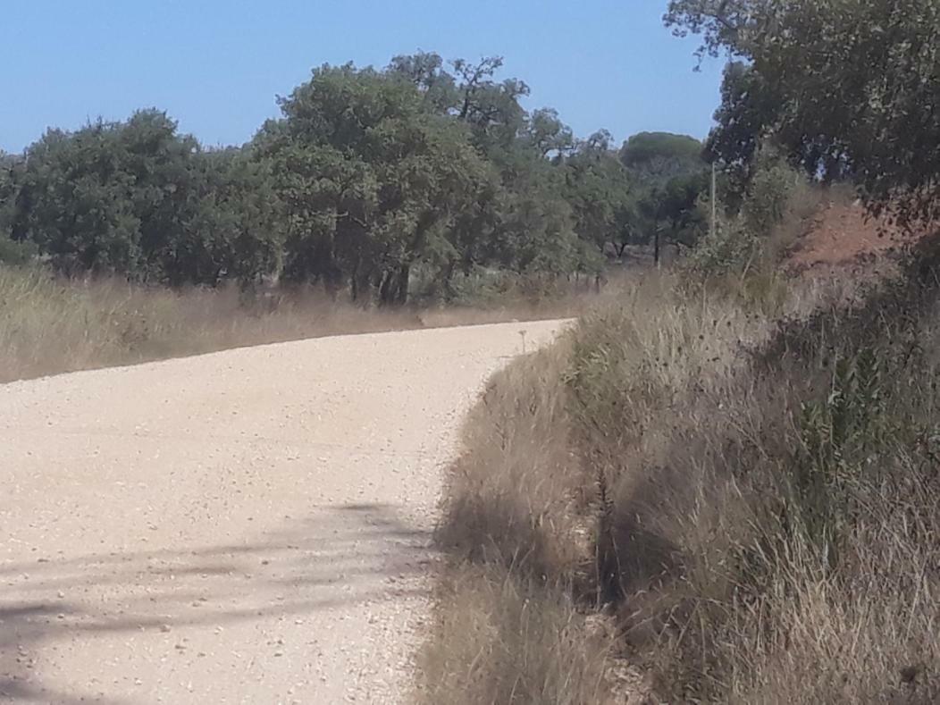 Serra Mar Cruz Joao Mendes Εξωτερικό φωτογραφία